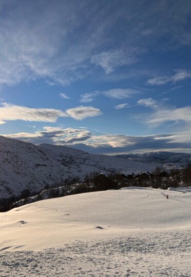 Bilde av Suleskard Fjellgård, Tomt 20