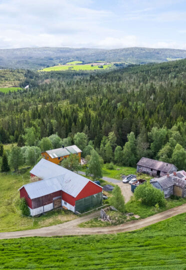 Bilde av Haugen 107