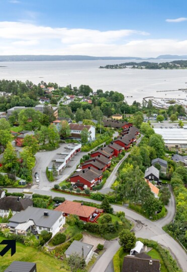 Bilde av Neslia 28