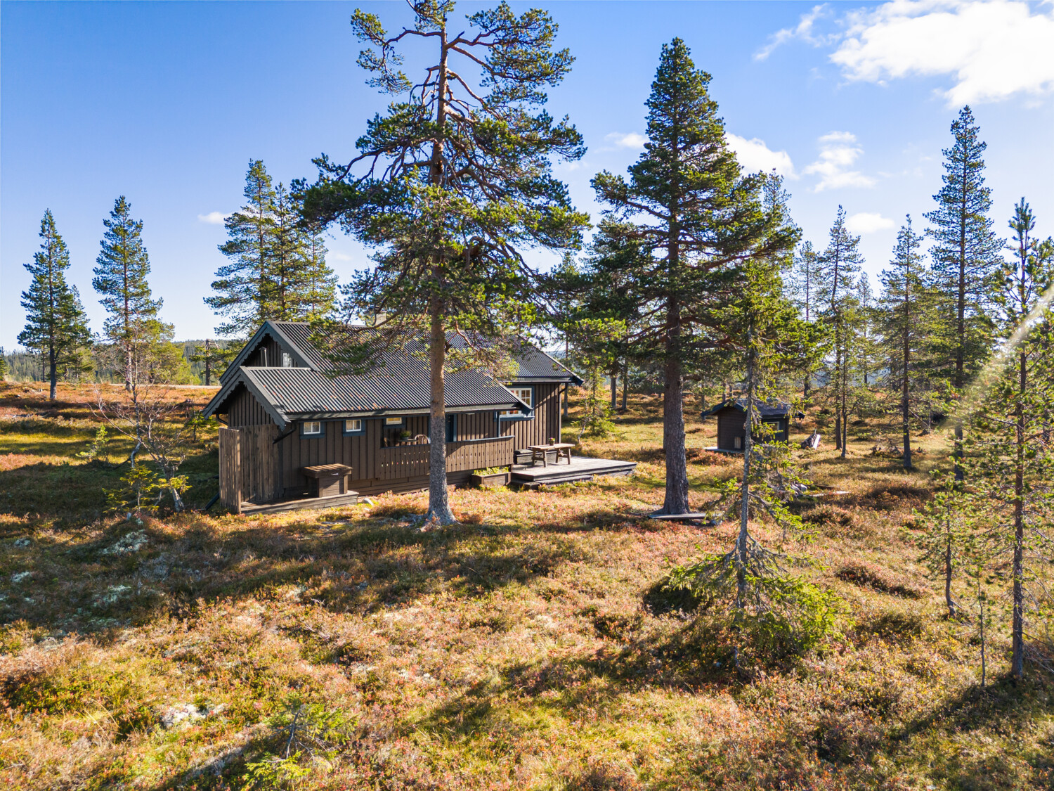 Bilde 2 av Gamle Fjellvegen 458